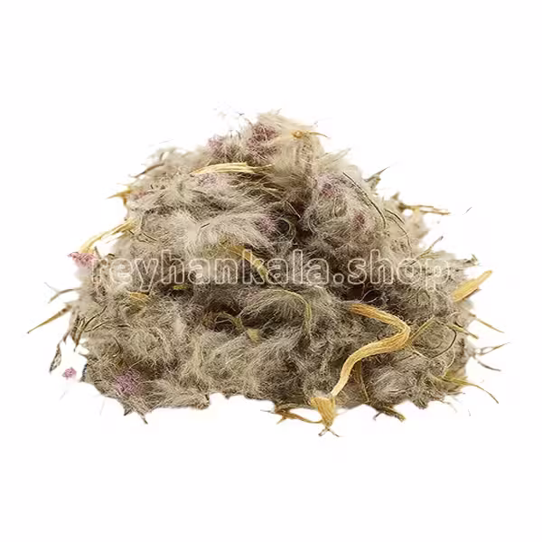 chai-koohi-50gr-reyhankala چای کوهی طبیعی 50 گرمی ریحان کالا - گیاه دارویی با طبع گرم و خشک