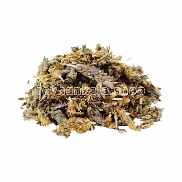 ostokhodous-shami-khoshk-50gr-reyhankala اسطوخودوس شامی خشک ۵۰ گرمی با کیفیت عالی - ریحان کالا