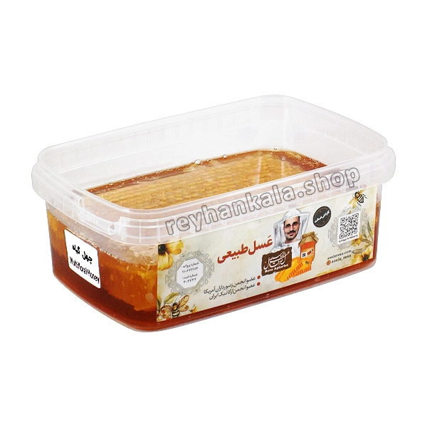 asal-chehel-giah-mom-dar-kham-1kg تصویر عسل رازقان (چند گیاه) موم دار خام طبیعی با موم زنبورعسل – وزن 1 کیلوگرم